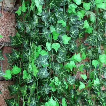 2,5 m Umelé Ivy Leaf Garland Rastliny Viniča Falošné Lístie, Kvety Domova Plastové Umelý Kvet Ratan Evergreen Cirrusu