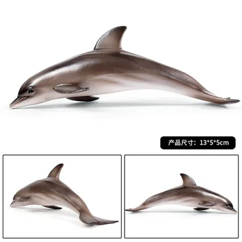 Malý Delfín Zvierat Obrázok Zberateľskú Hračky, More, Poznávanie Zvierat Akčné Figúrky Deti Plastikový Model Hračky