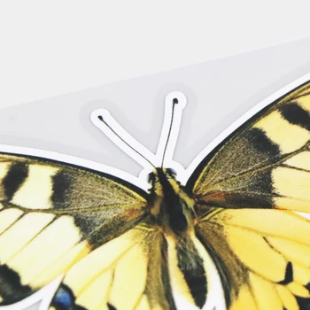 YJZT 16.5×10.9 CM fenyklový Motýľ Zvierat Okno Sklenené Dekorácie, Nálepky Funny Auto Samolepky 21A-0090
