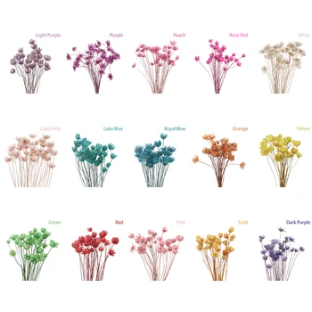 Mini Krásnej Daisy Živé Malé Hviezdy Sušených Kvetov, Kvetinové Kytice Prírodné Rastliny Pre Svadobné Dodávky Domova DIY Remeslá