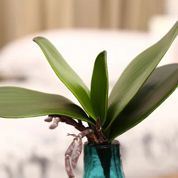 1 Kytice Phalaenopsis Listy Clivia Umelé Rastliny Pre Svadobné Party Home Office Stôl Dekorácie