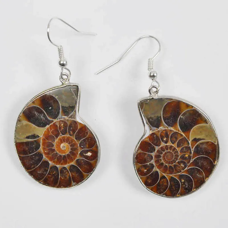 Prírodné Ammonite Fossi Kameň Perličiek Visieť GEM Náušnice Šperky T134 1