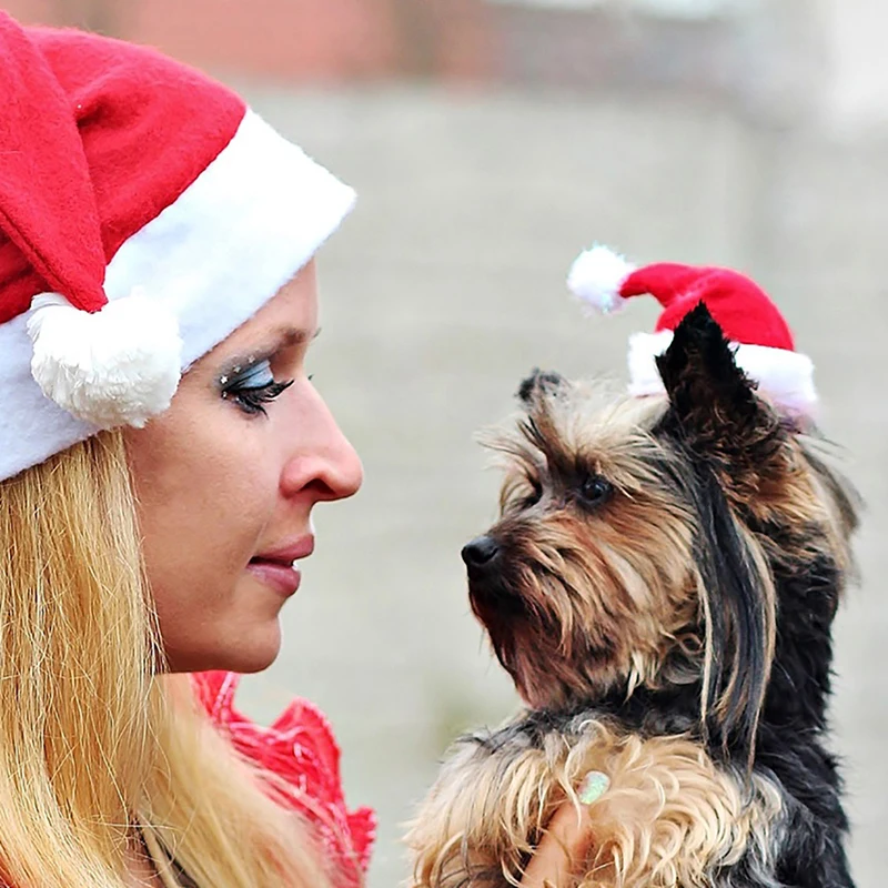 Vianočné Pet Klobúk Mačka, Pes Šteňa, Vianočné Dekorácie Nový Rok Party Dodávky Pet Fashion Oblečenie 4
